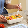Cute Pet shaped 2 compartment Bento Box 