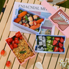 Korean style Double Layer Bento Box