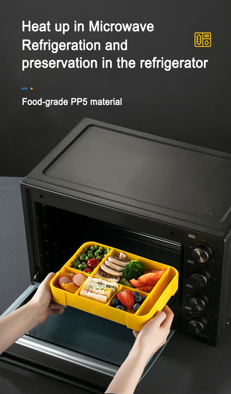 5 compartments heating and freezer lunch box