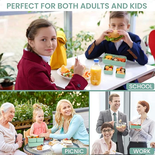 durable 700ML Single layer 2 grids lunch box