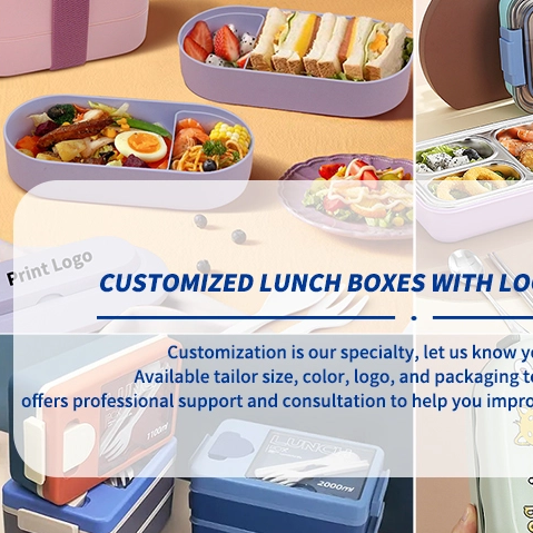 Which Lunch Box Is Right for You?