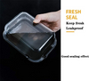 Single Layer Lunch Box (2&3 compartments)