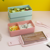 Double Layer PP Lunch Box