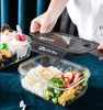 Single Layer Lunch Box (2&3 compartments)