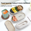 Unique Wheat Straw Lunch Box +Square Soup Cup Set
