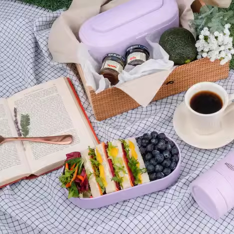 Modern Double Layered Tie Strap Lunch Box with Inner Compartment