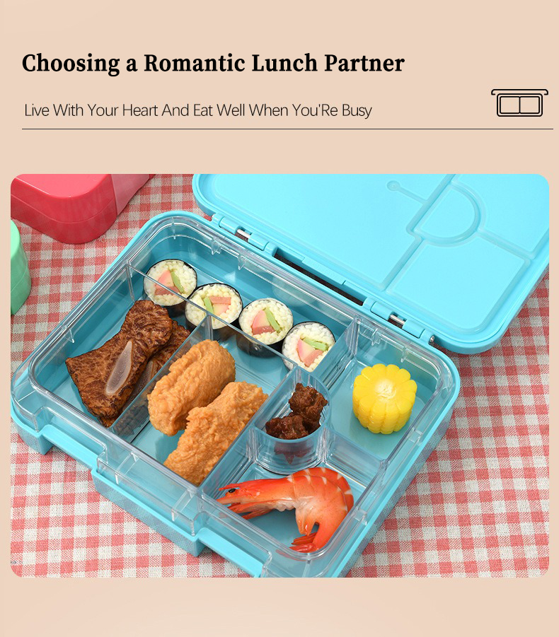 Modern recycled 6 grids lunch box food salad