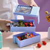 Korean style Double Layer Bento Box
