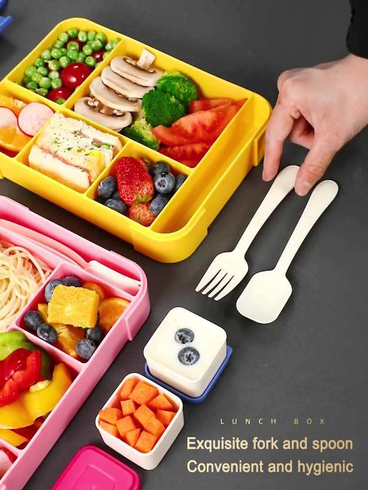 adorable 5 compartments lunch box for kids