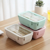 Wheat Straw Rectangular 2 Grids Lunch Box (850ML)