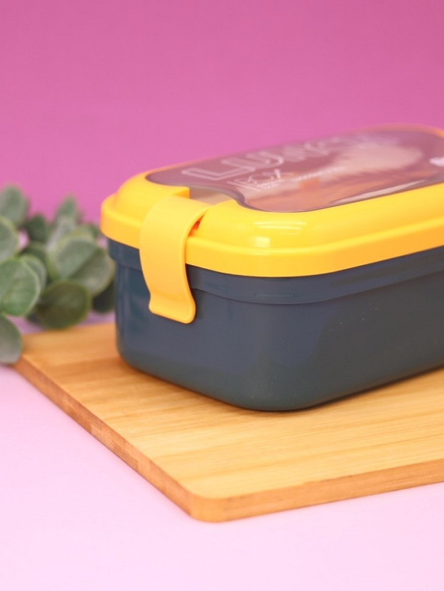 sturdy Compartmentalized 800ML Single layer lunch box