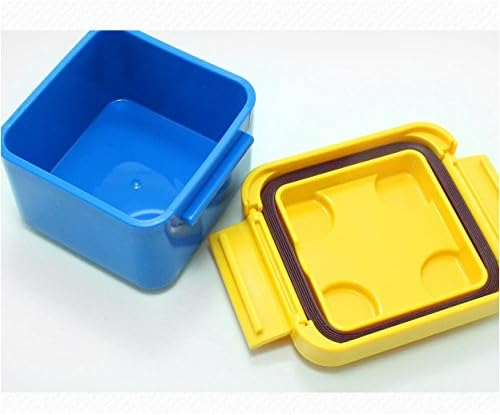 DIY design lunch box for Children