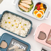 Two Layer Bento Box