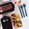 Single layer bento box with 3 compartments