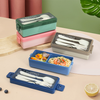 Single Layer 2 Comparments Lunch Box